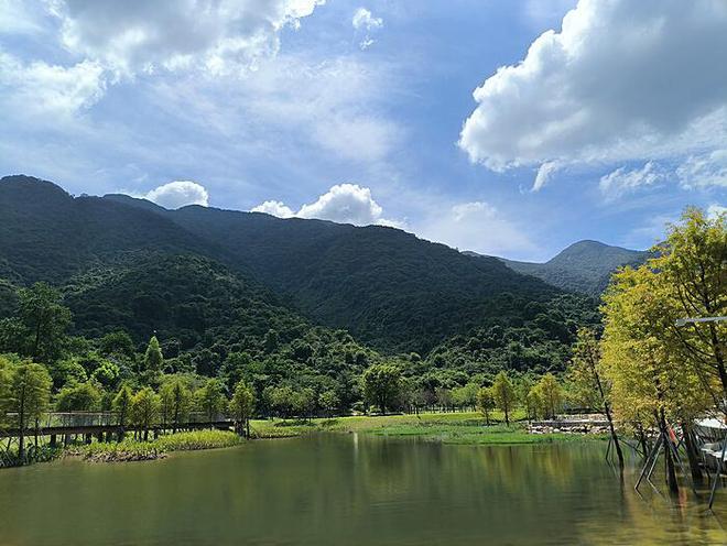 《火锅艺术家》——宋小宝与乔杉携手贺岁，共绘美食盛宴